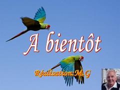 101PARC AUX OISEAUX DANS L AIN 2016 3_000054